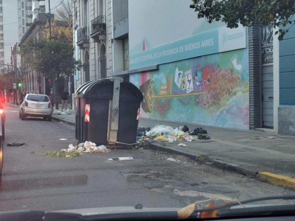 Quejas por otro contenedor desbordado de basura en 47 entre 5 y 6