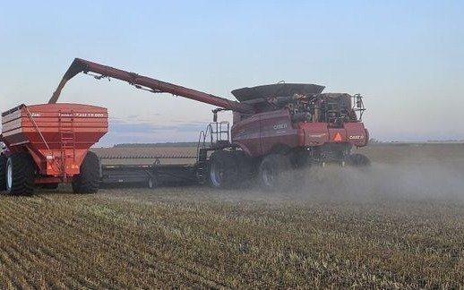 Polémica en el sector industrial por desregulación de importaciones de maquinaria usada