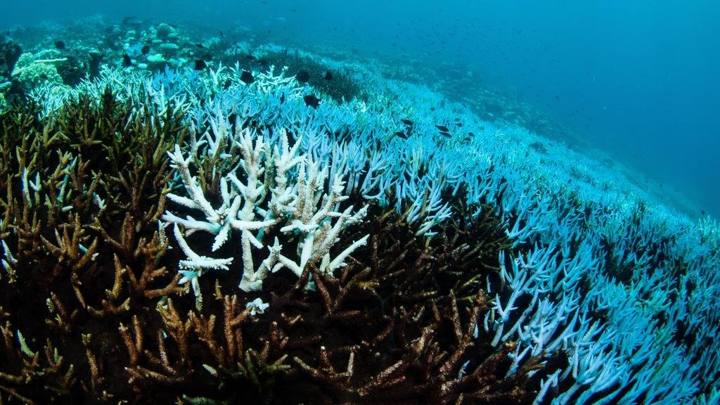 La Tierra también se apaga bajo el mar