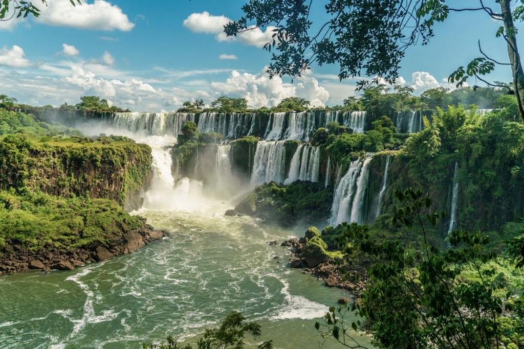 Este invierno, dejate abrazar por la selva: Iguazú te espera con toda su magia
