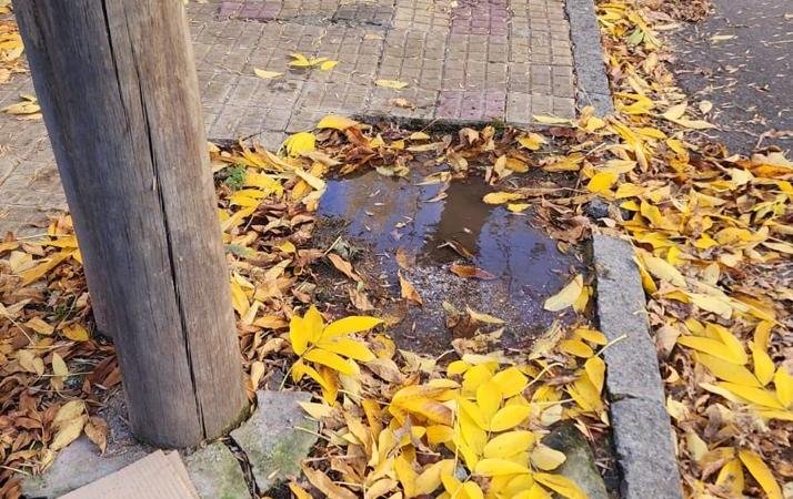 Baja presión, falta de agua y una cañería rota en 42 entre 10 y 11