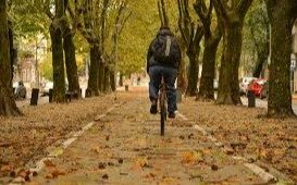 Jornada fresca en otoño
