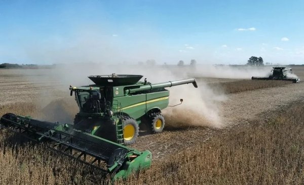 ¡Alerta Agro! Argentina Podría Batir Récords con una Cosecha Histórica de 251 Millones de Toneladas