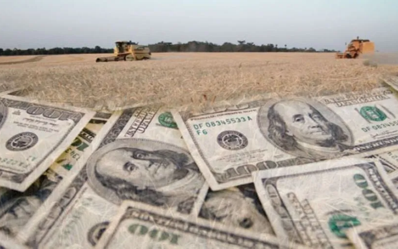 Los cambios en el dólar y el factor de las retenciones, puntos que preocupan al campo argentino
