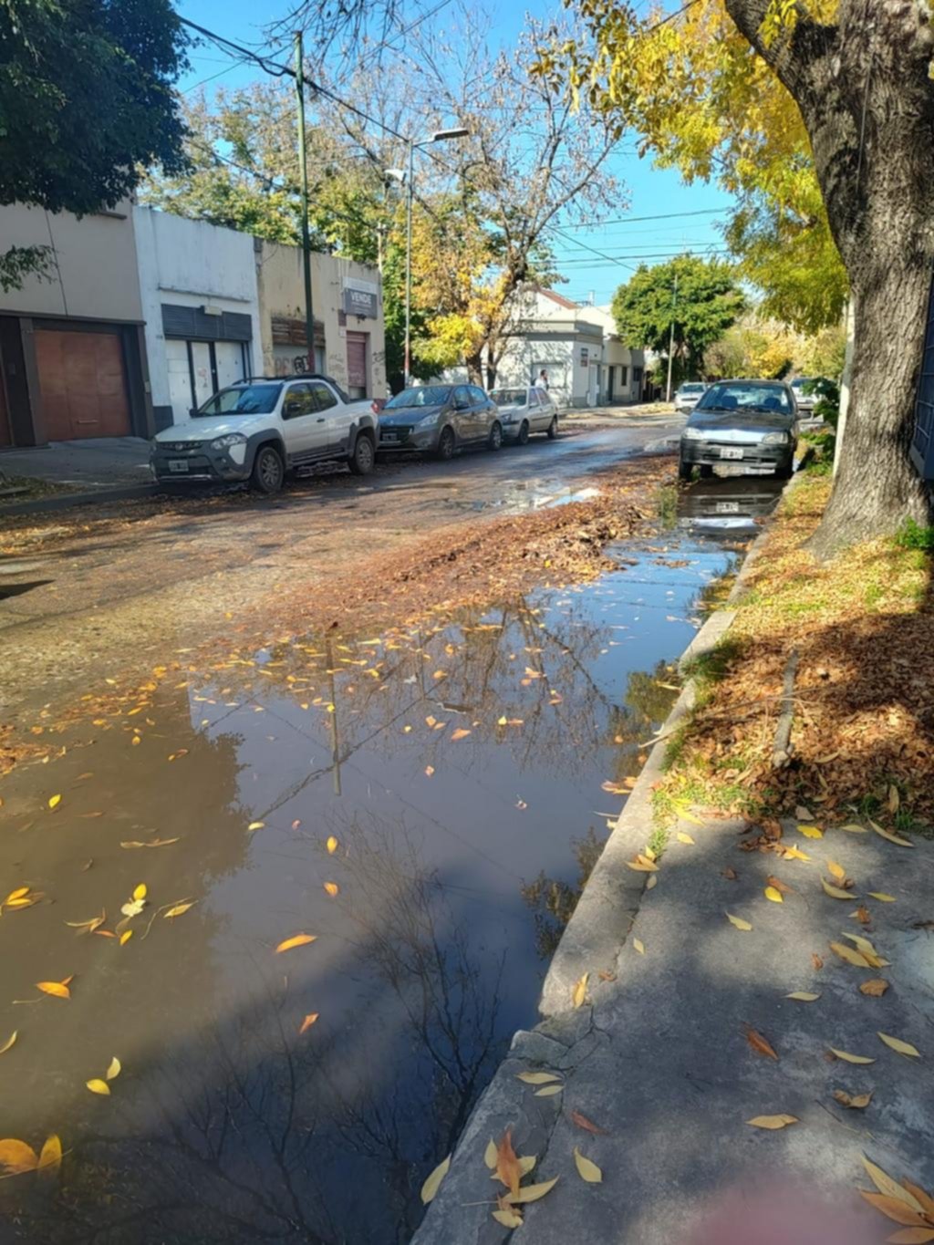 Desborde cloacal y cañería rota en 23 entre 41 y 42 lleva varias semanas