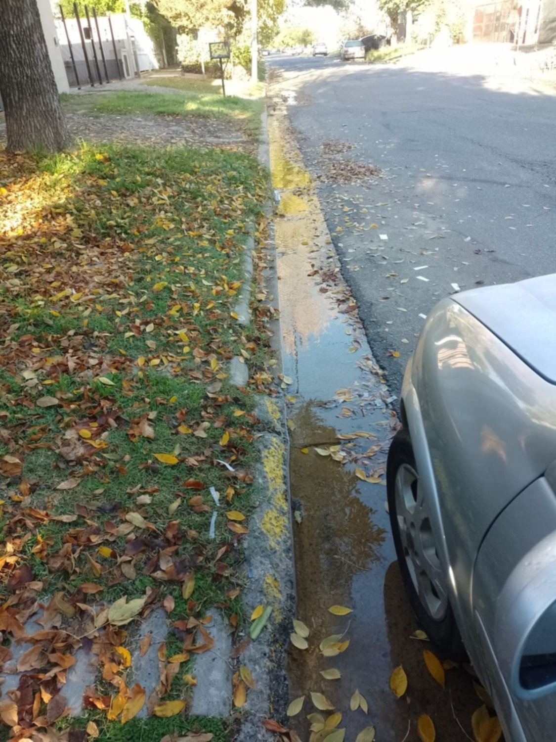 Pérdida de agua "sin fin" preocupa a usuarios de Villa Elvira     