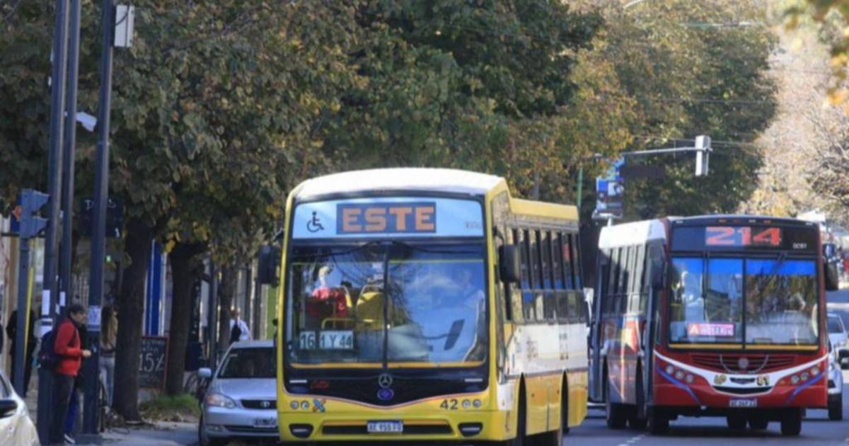 Empresarios anuncian una reducción en la frecuencia de los micros | El Dia