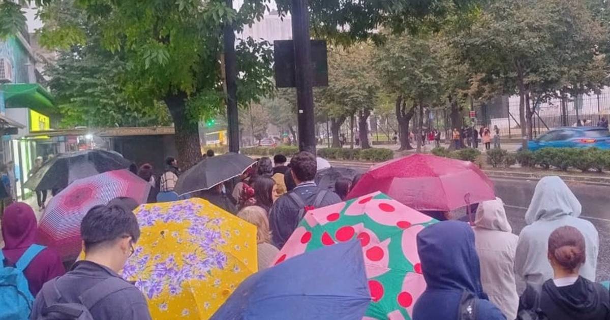 La Plata | Micros llenos, paradas explotadas y bronca de pasajeros: los ...