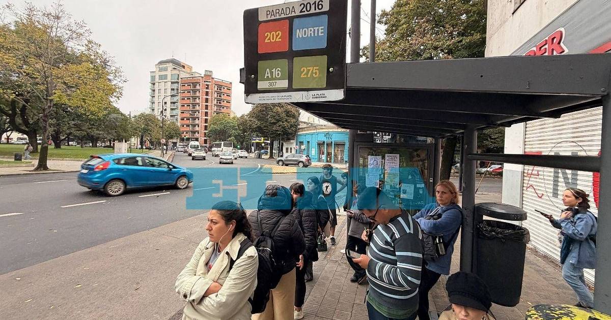 Sigue el calvario de los micros en La Plata y sancionarían a las ...