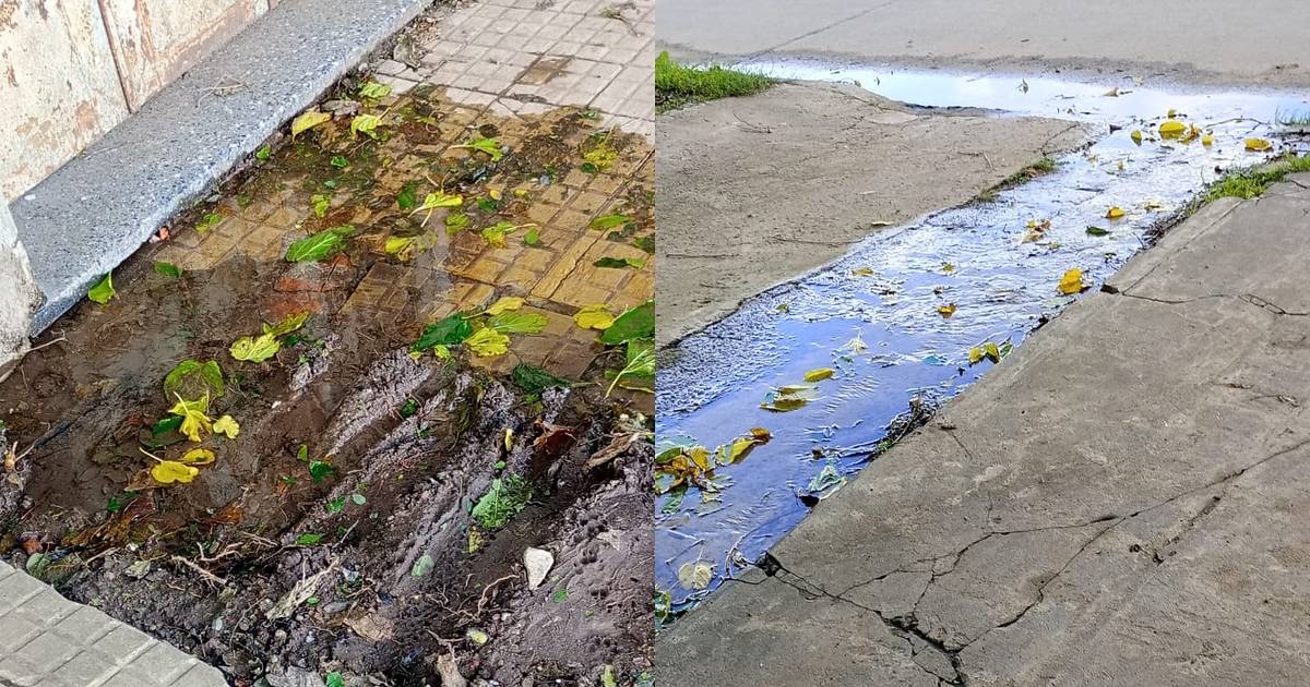 Pérdida de agua en el Barrio El Mondongo | El Dia