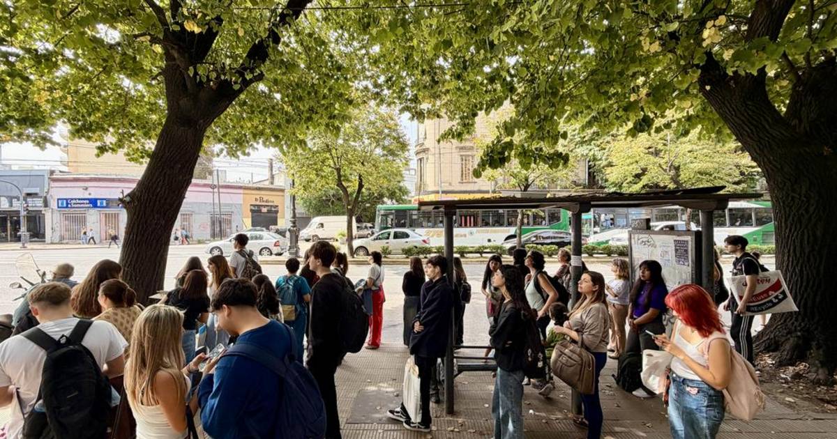 Reunión y solo promesas: los micros de La Plata siguen con baja ...