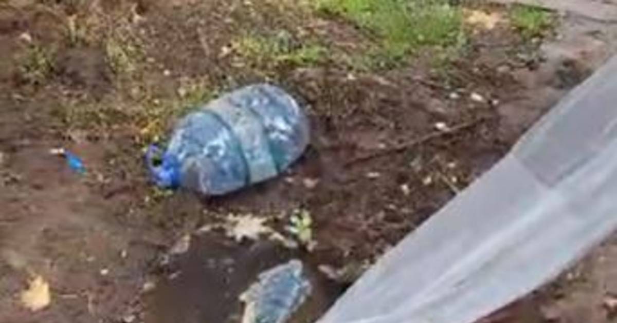 Sigue el reclamo por una pérdida de agua en 12 y 511 | El Dia