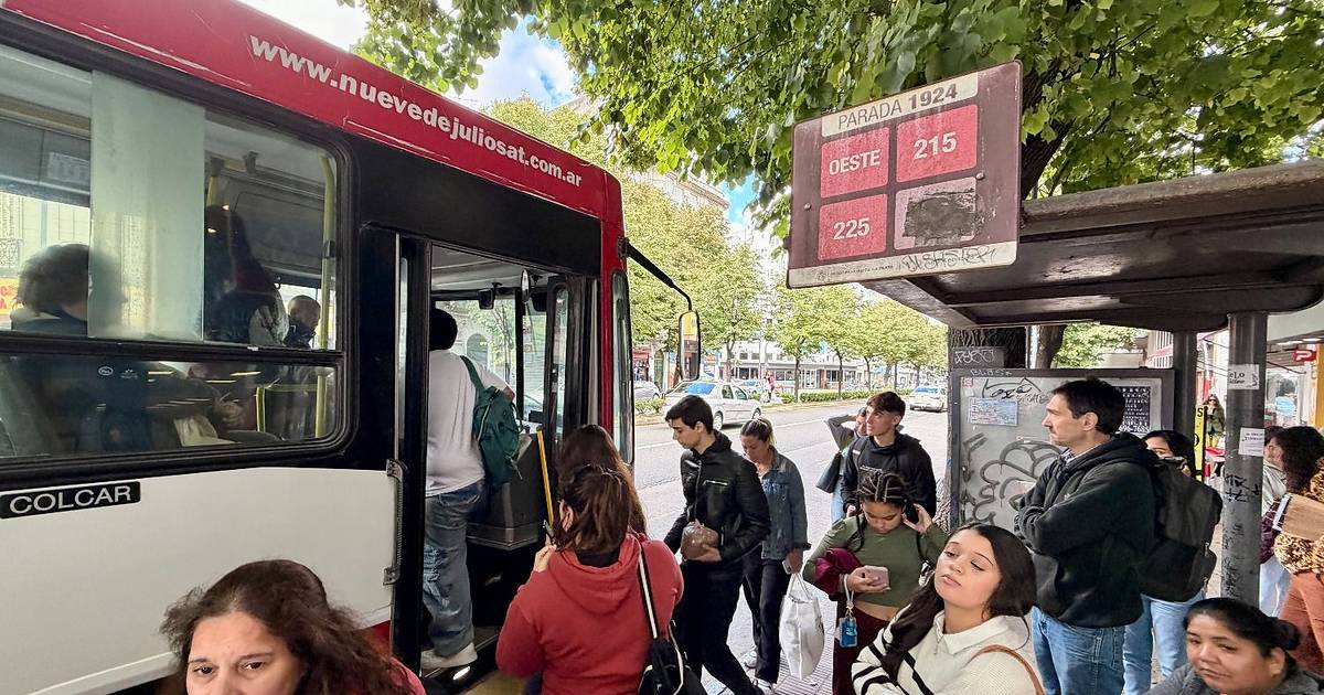 El aumento del boleto de micros en La Plata y la región: convocan a ...