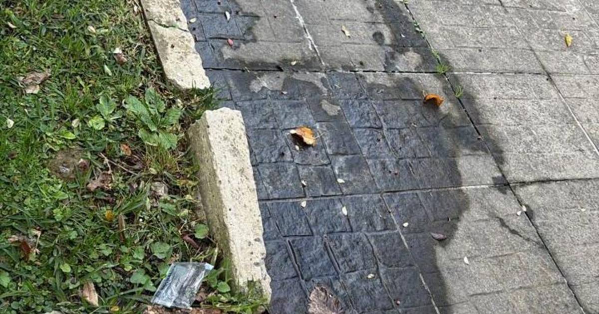 Reclamos en Gonnet por una pérdida de agua en 506 entre 19 y 20 | El Dia