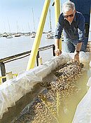 Collado, con autorización para rescatar un galeón hundido