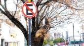 Estudian prohibir estacionamiento en unas 60 cuadras del casco urbano