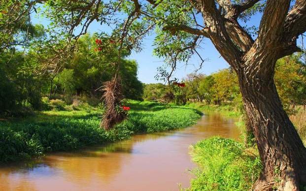 Pesca, caminatas y remo en  el Parque Nacional Pre Delta