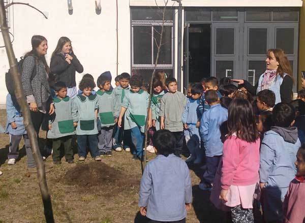 Solidaridad en escuelas: juntan tapitas por árboles