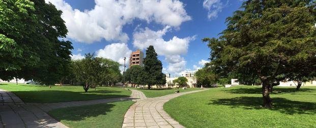 Martes nublado y una máxima de 15 grados
