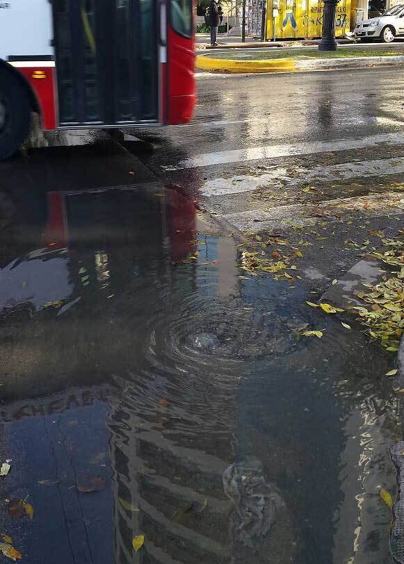 Denuncian una "cloaca a cielo
abierto" en 44 y 14