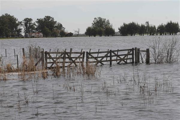 El campo en alerta por las millonarias pérdidas que causan las inundaciones