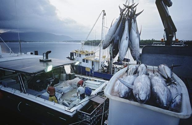 Método para recuperar en 10 años especies ictícolas de pesca