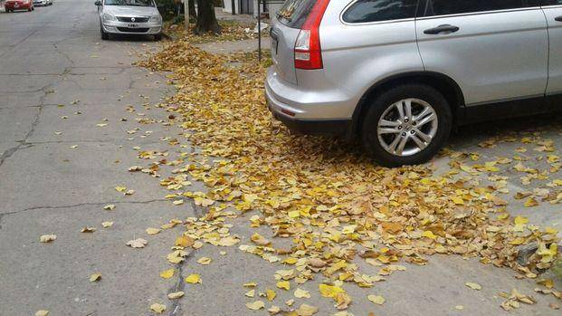 Reclamos por falta de barrido en 57, 27 y 28