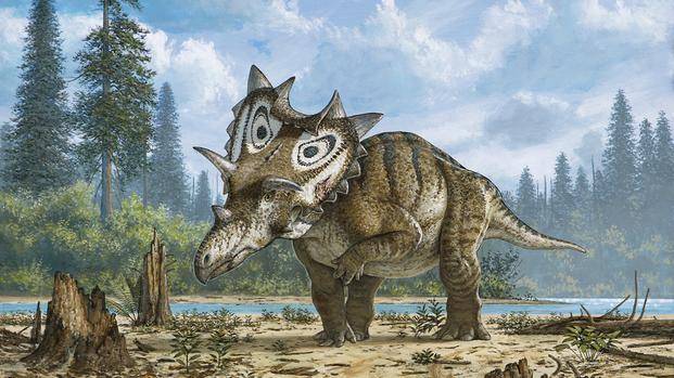 Descubrieron una nueva especie de dinosaurios con cuernos y la llamaron “Judith”
