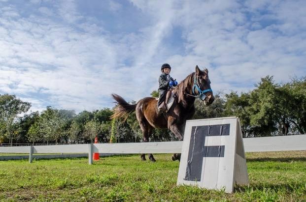 Encuentro paraecuestre en el Hipódromo