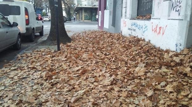 Todo el otoño en una esquina centrica