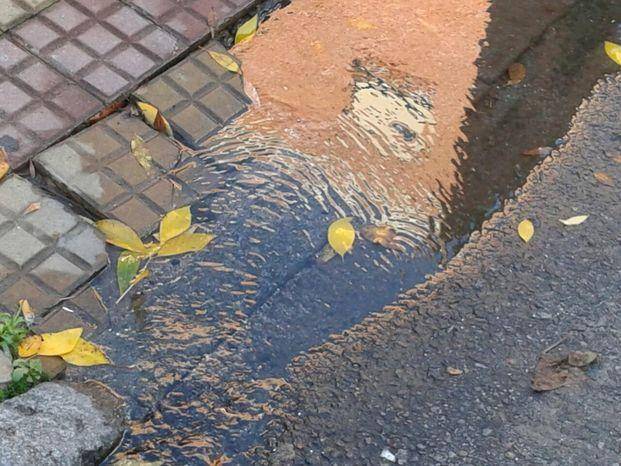 Pérdida de agua en 64, 8 y 9