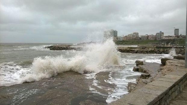 Rige alerta por vientos intensos en gran parte de la Provincia