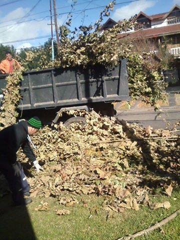 Desmalezado en Quilmes Oeste