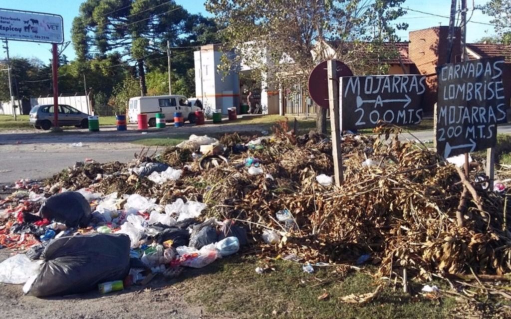 Un basural agobia a los vecinos de Villa Elvira
