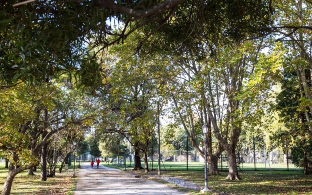 Jornadas para concientizar sobre la importancia de cuidar el arbolado urbano