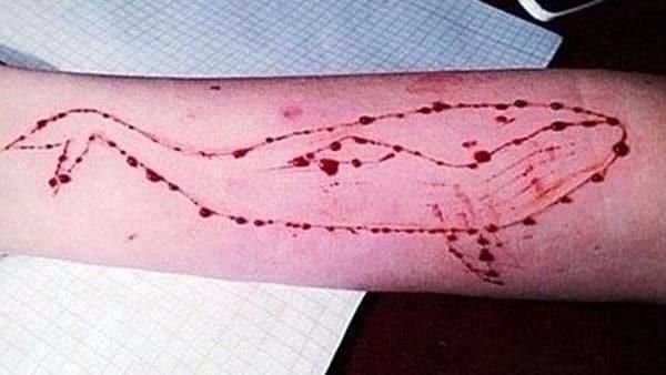 Cómo estar alertas ante los peligros del juego de la "Ballena Azul"