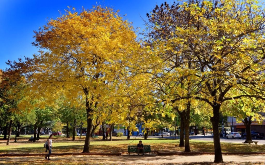 Continúa el otoño “primaveral” en la Región: 25 de máxima y pocas nubes