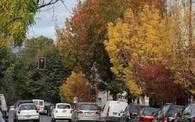 Parece que ahora sí arranca el otoño
