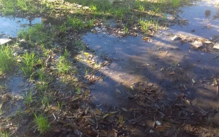 Importante pérdida de agua en 1 y 80