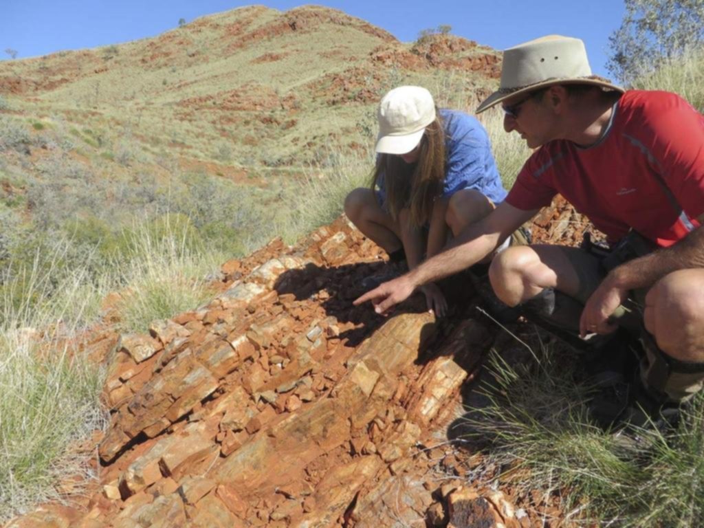 Hallan la evidencia más antigua de vida terrestre