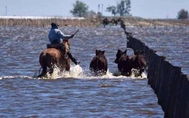 Instalarán tubos en General Villegas para el drenaje del agua de las inundaciones