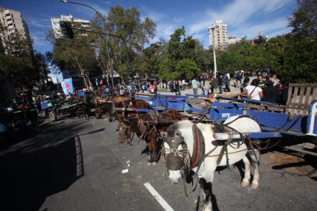 La foto de la semana