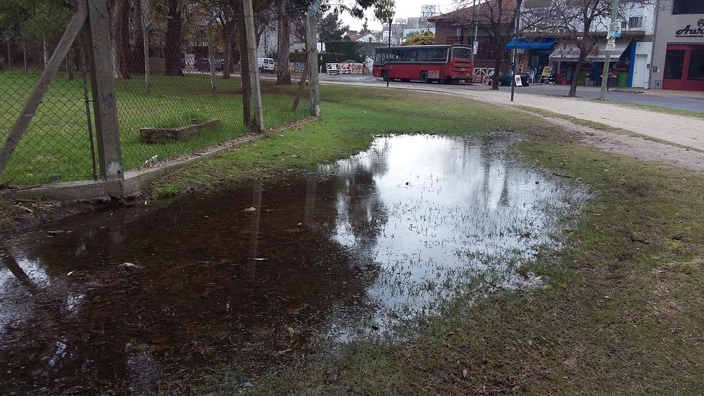 Abandono y peligro en distintos sectores del Parque San Martín
