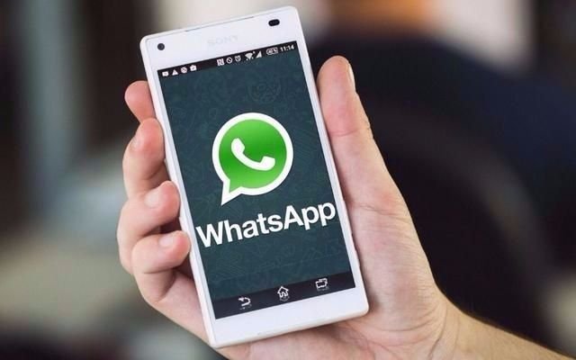 Conectate con EL DIA a través de WhatsApp