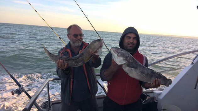 La pesca en Mar del Plata: Pesca deportiva