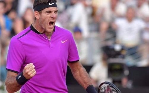 Del Potro avanzó en Lyon