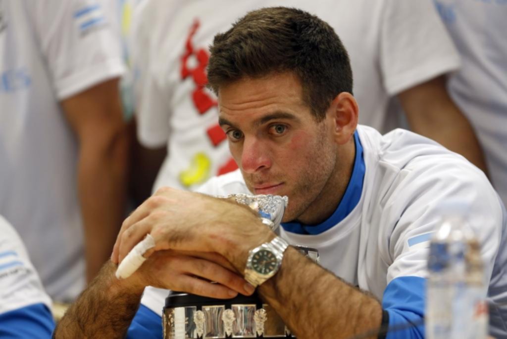 Del Potro desmintió al presidente de la AAT