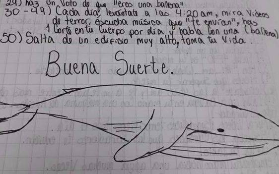 Ballena azul: un profesor de química, el primer reclutador detectado en el país