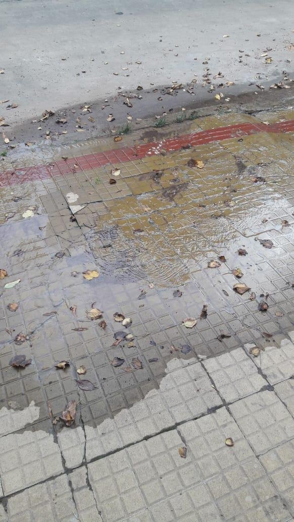 Pasan los días y nadie arregla la filtración en 26 y 68