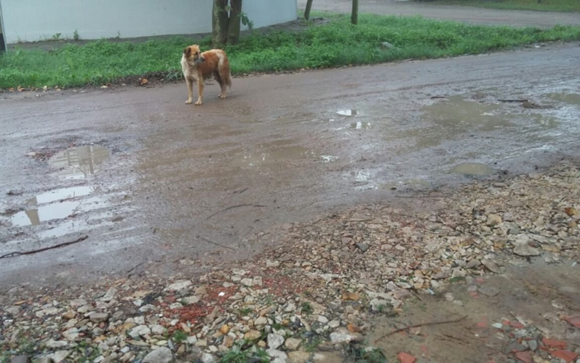 Calle en mal estado empeorada  por la lluvia y la humedad en Gonnet